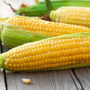 Jagung